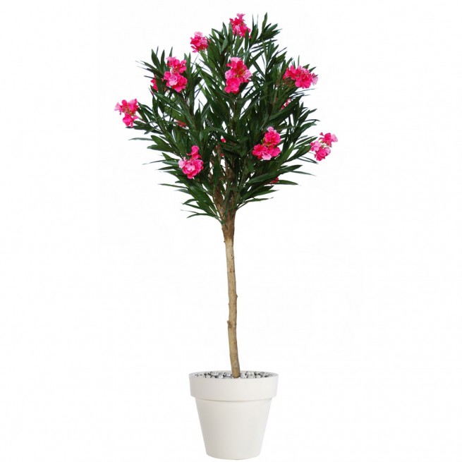 Planta semi-artificiala Ila, Oleander Globe Pink - 200 cm